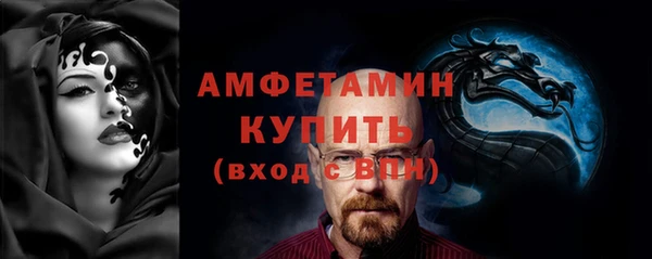 прущие грибы Медногорск