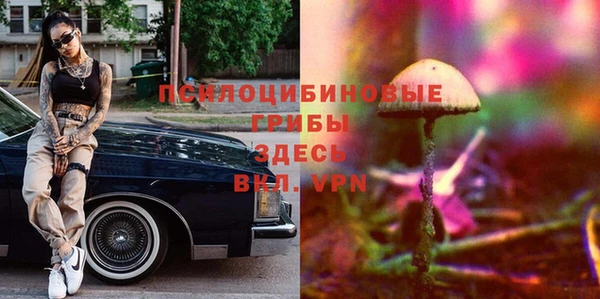 MDMA Premium VHQ Медвежьегорск