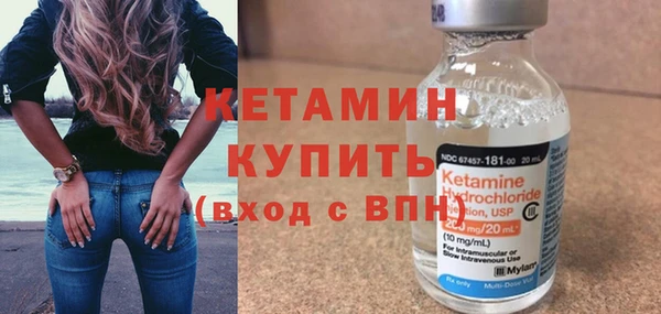 прущие грибы Медногорск