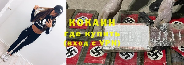 прущие грибы Медногорск