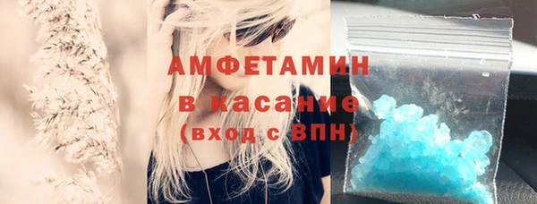 прущие грибы Медногорск