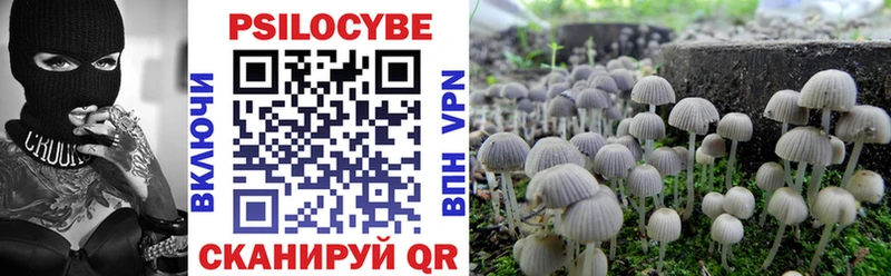 купить  цена  Дмитров  Псилоцибиновые грибы Cubensis 