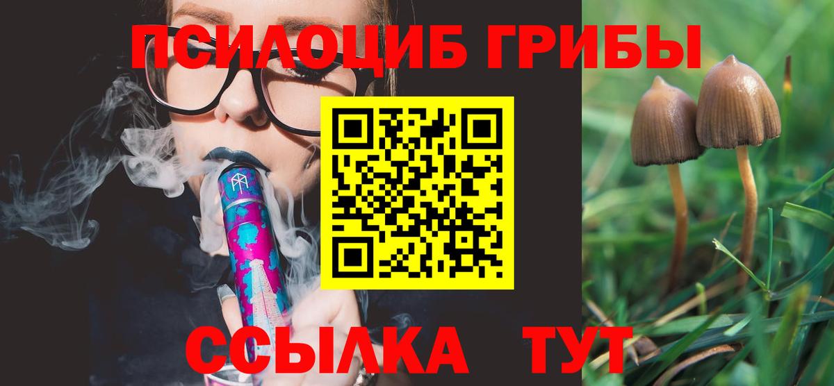Галлюциногенные грибы прущие грибы  Псилоцибиновые грибы ЛСД  Дмитров  Вход с VPN 
