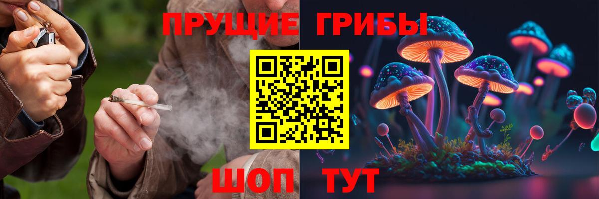 Галлюциногенные грибы мицелий  Дмитров 