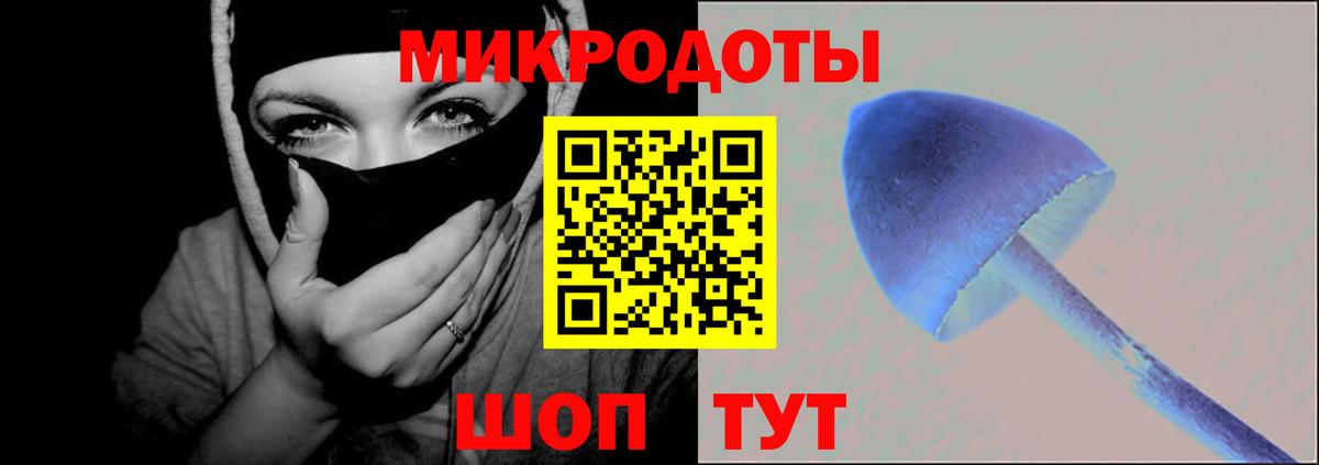 Галлюциногенные грибы мухоморы Дмитров