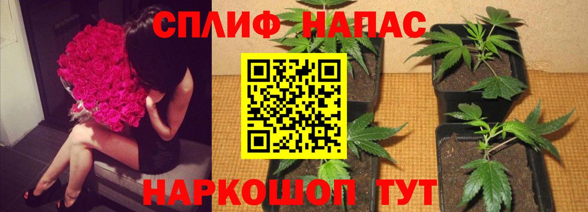 Канабис LSD WEED Дмитров